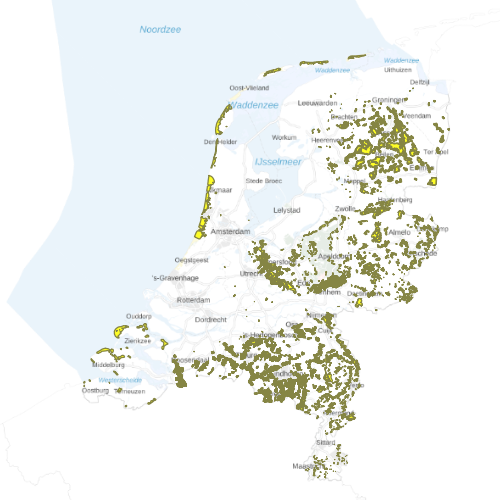 overview