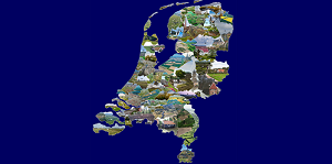 Gegenereerde grafische weergave